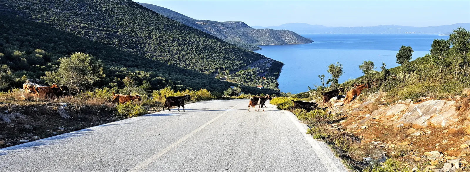Discover Pelion