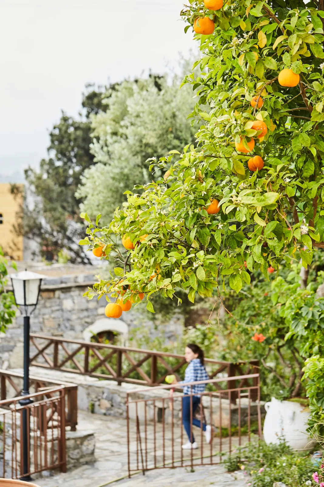 Arolithos Traditional Cretan Village