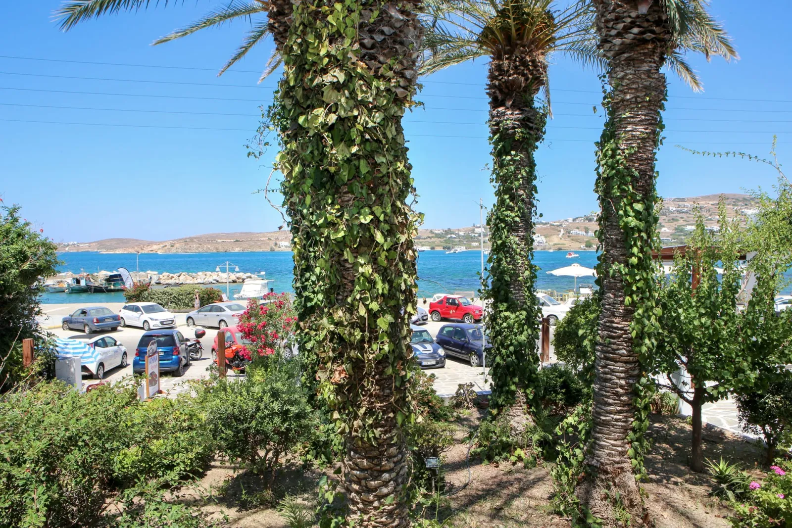 Asterias Hotel - Paros