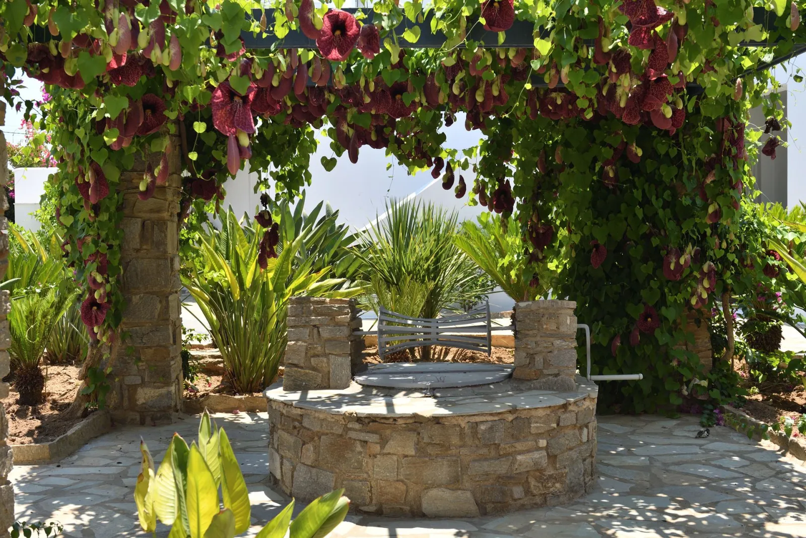 Astir of Paros Hotel