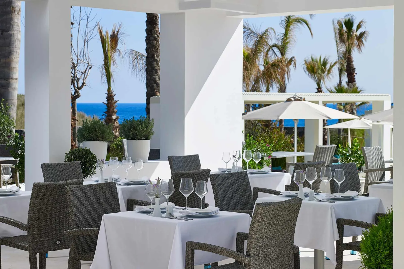 Dining - Aurora Luxury Suites