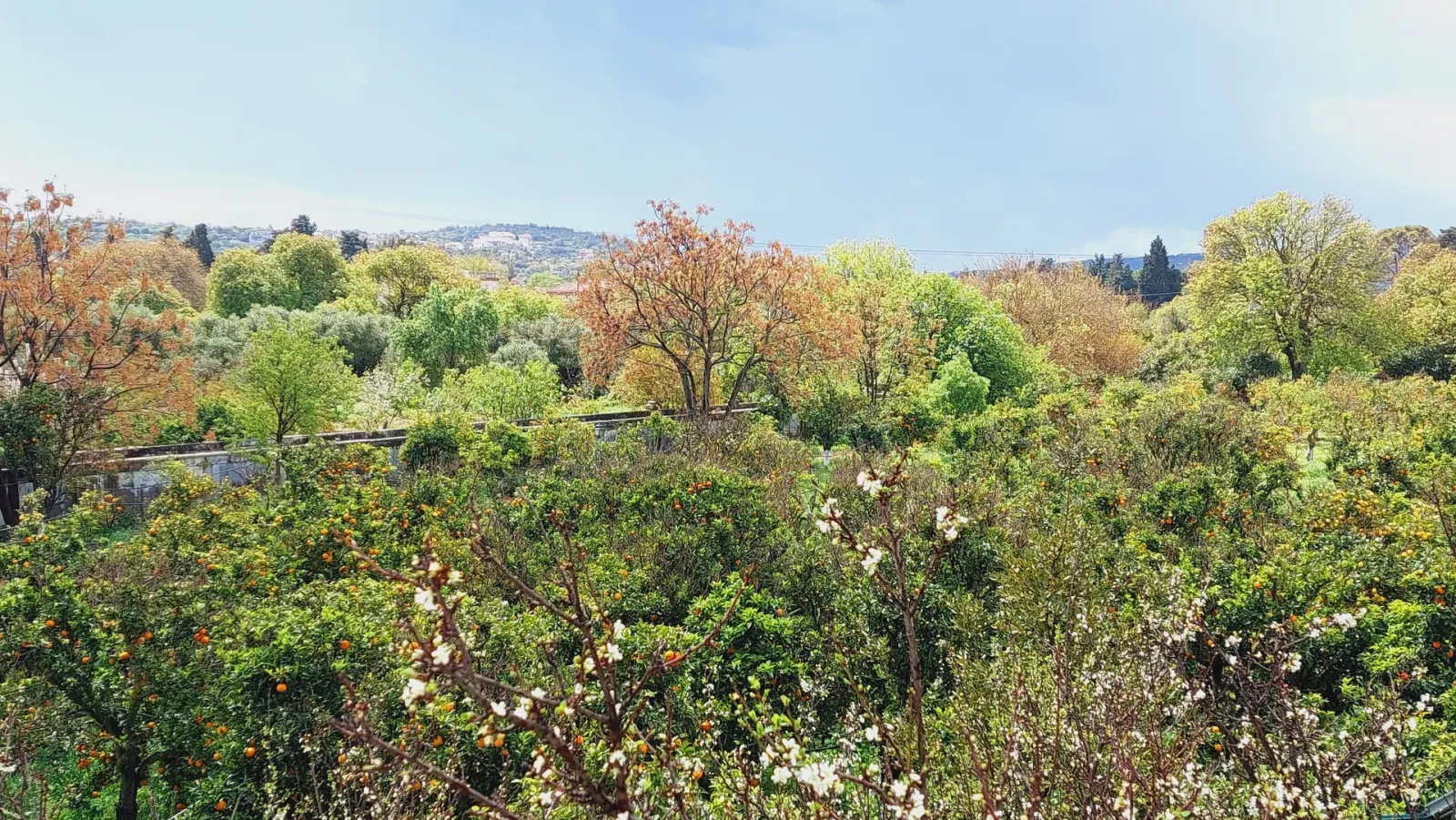 Bella Cisterna