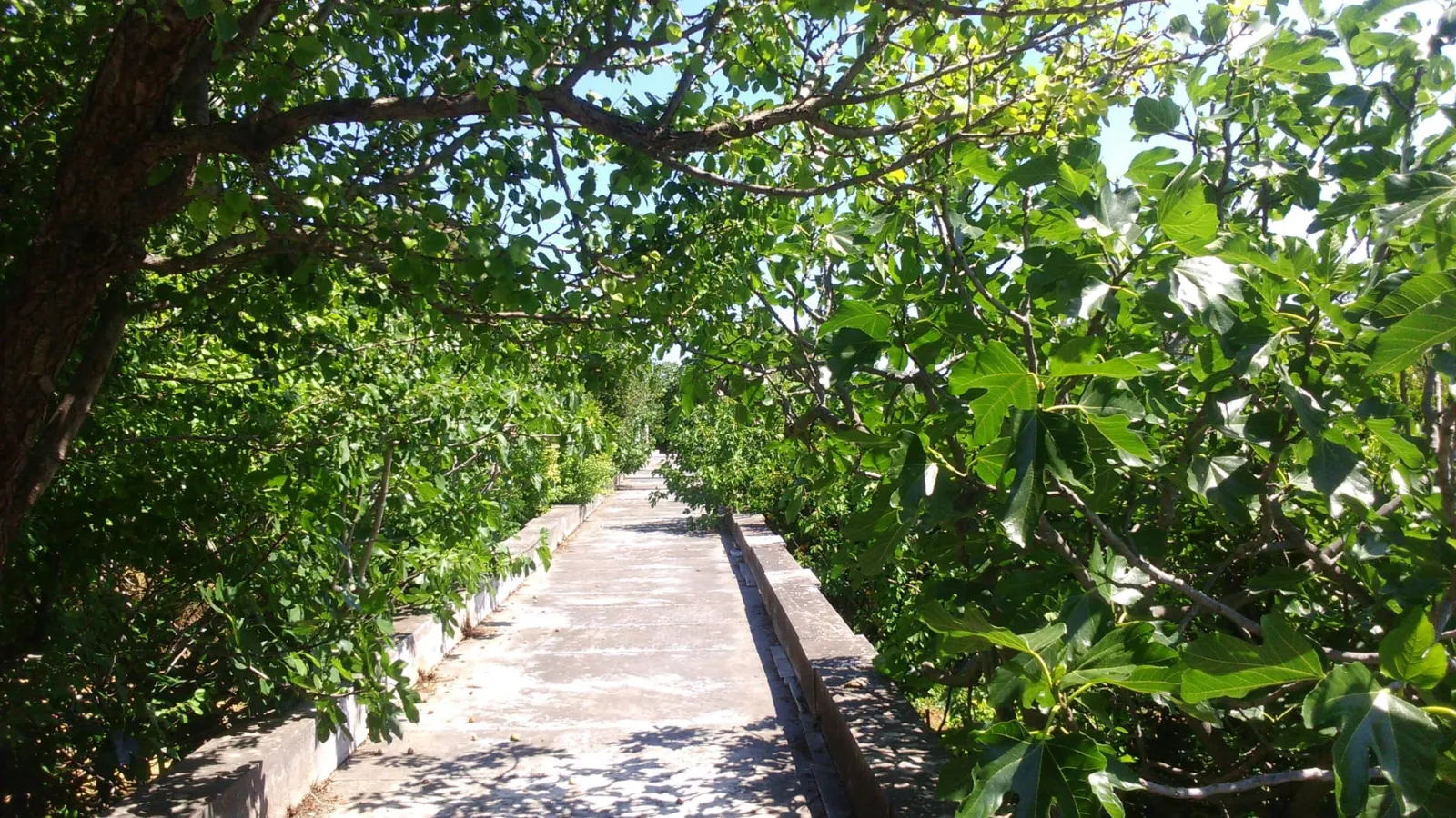 Bella Cisterna