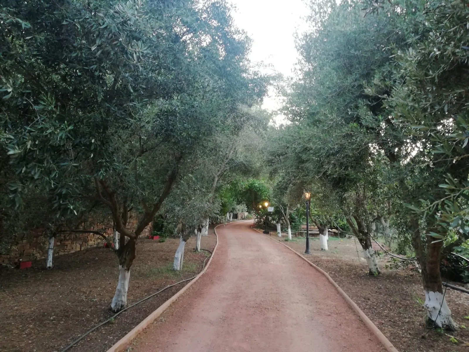 Bella Cisterna