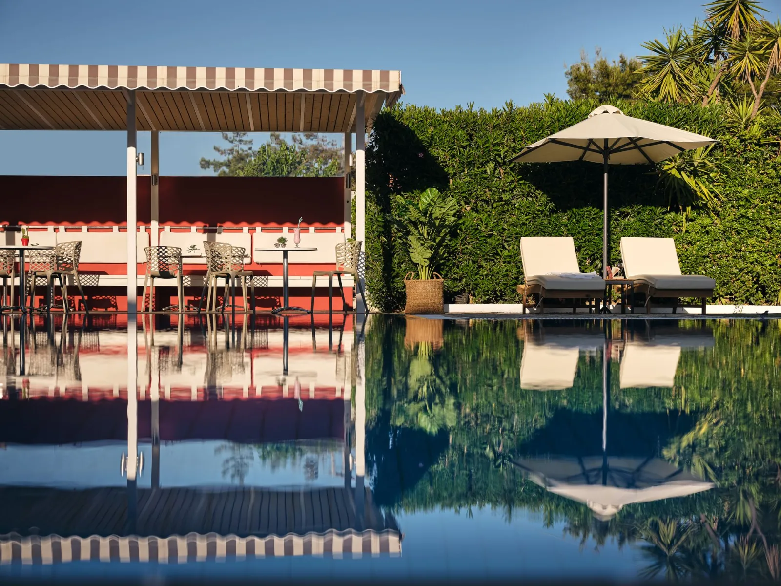 Cactus Hotel Zakynthos