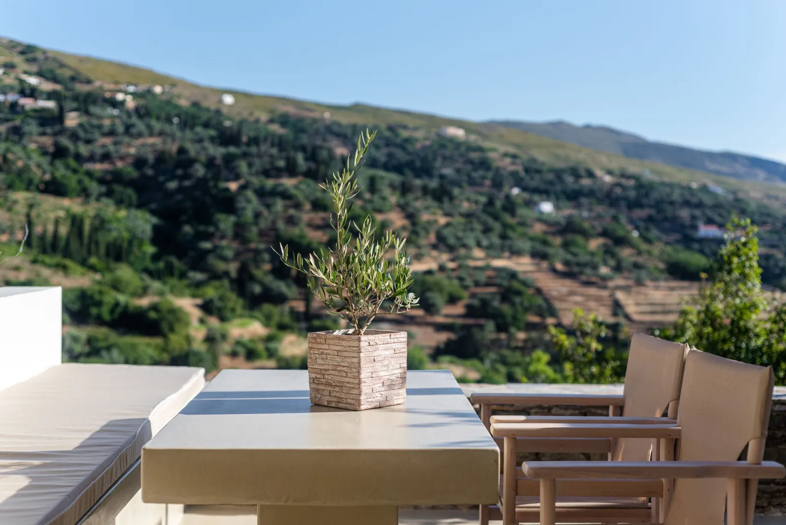 Casa Di Fiori Suites Andros