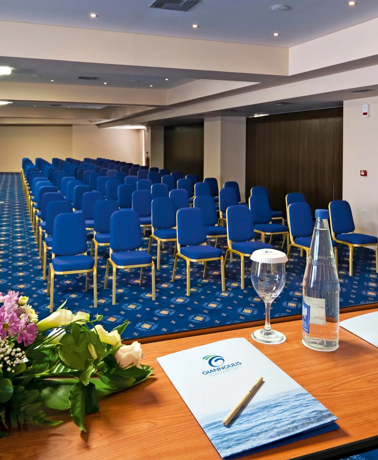 Spatha Conference Room - Theatre Sitting