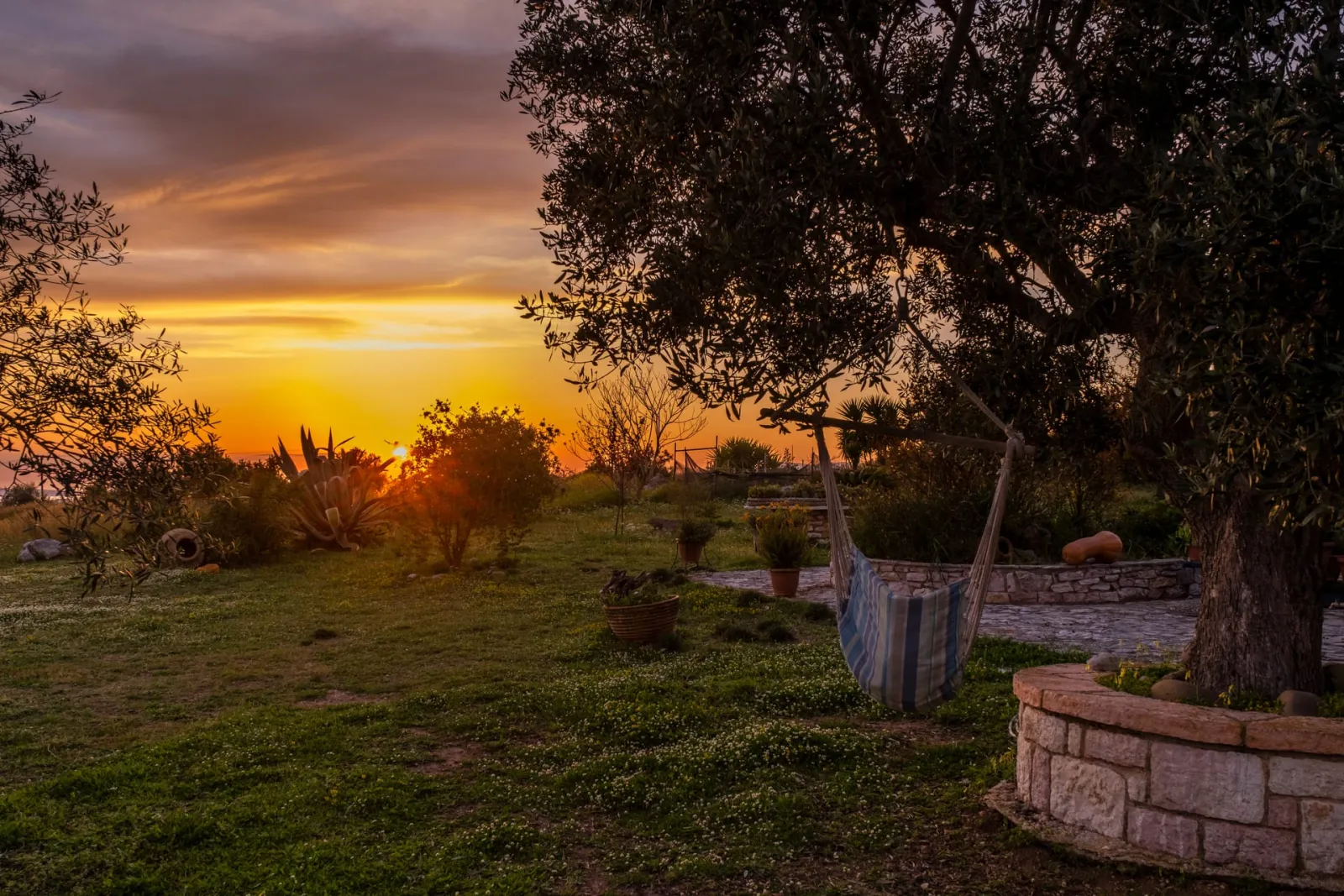 Chamaloni Cottages