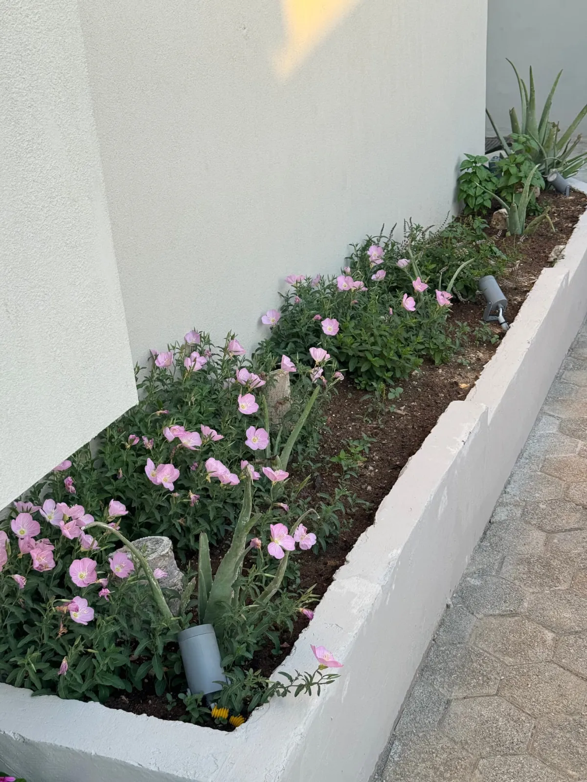The Noverian Antama Organic Beach Resort Chania
