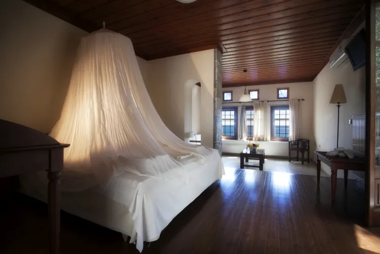 Palia Damouchari Apartments - Pelion