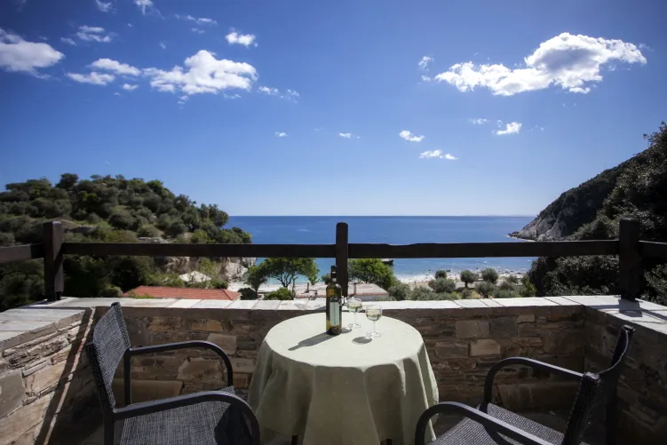 Palia Damouchari Apartments - Pelion