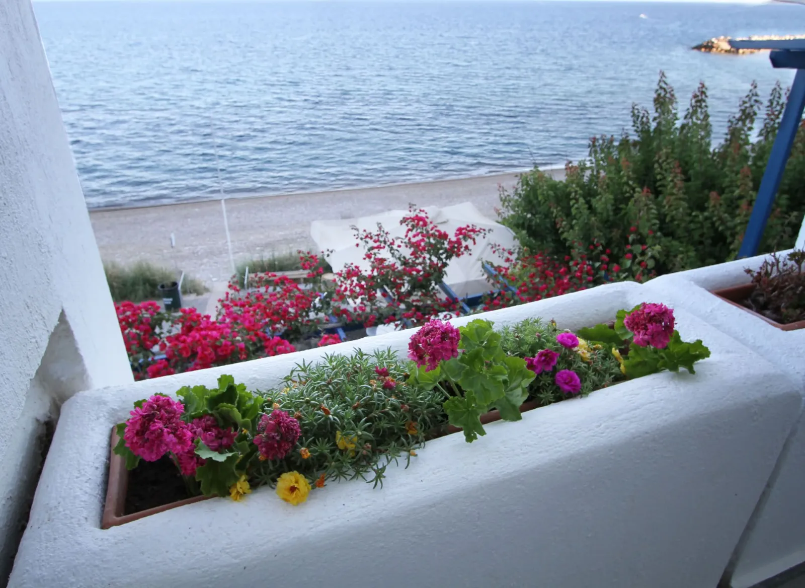 Chios Xenia