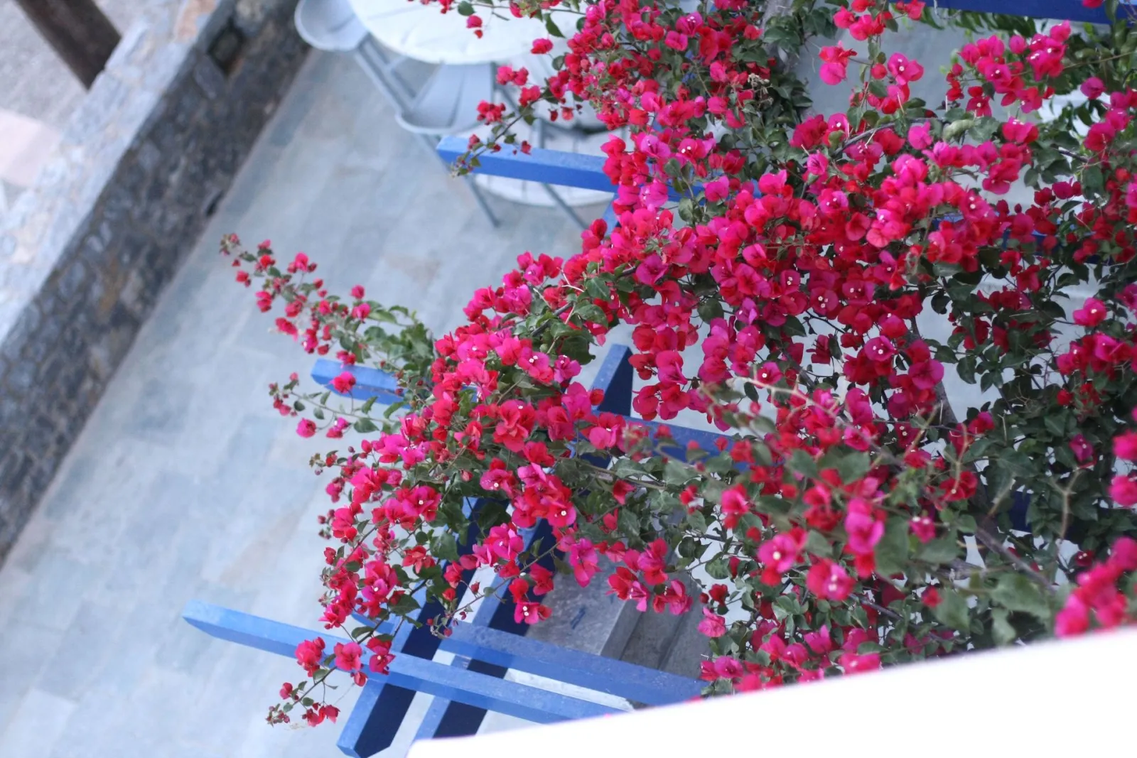 Chios Xenia