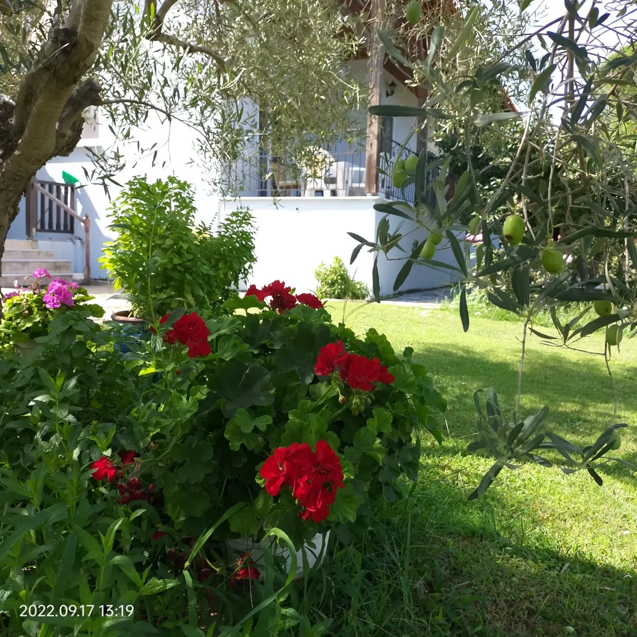Magda House - Vourvourou Sithonia