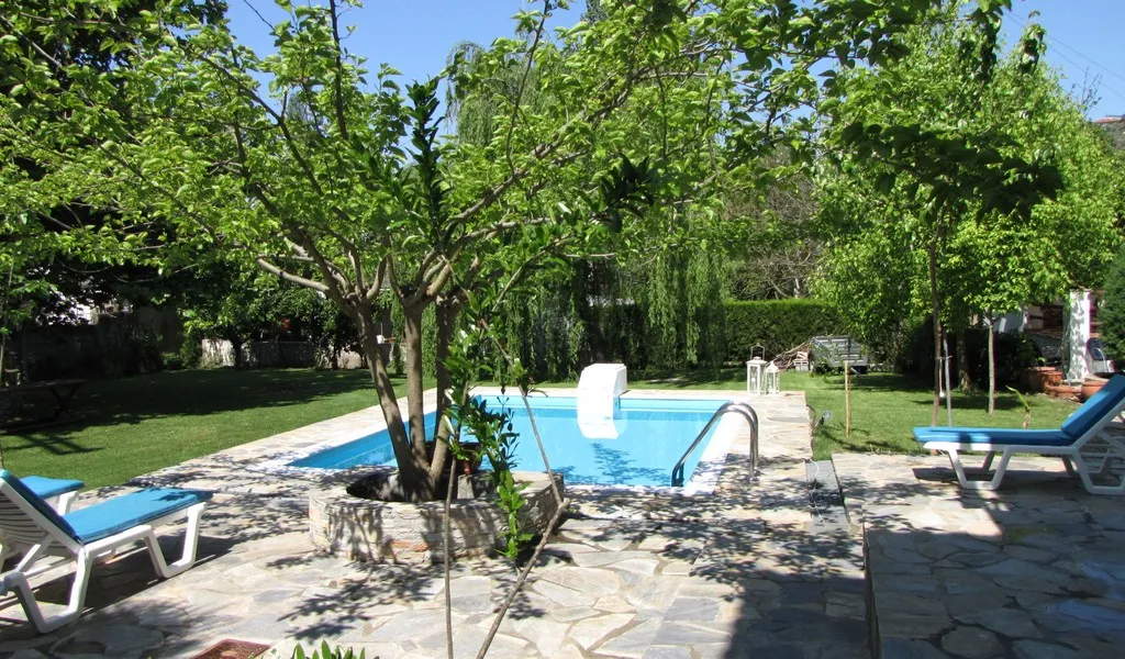 El Villa with pool in Horto Pelion