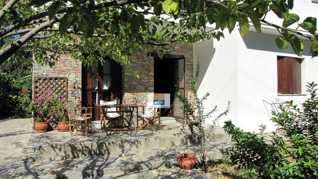 El Villa with pool in Horto Pelion