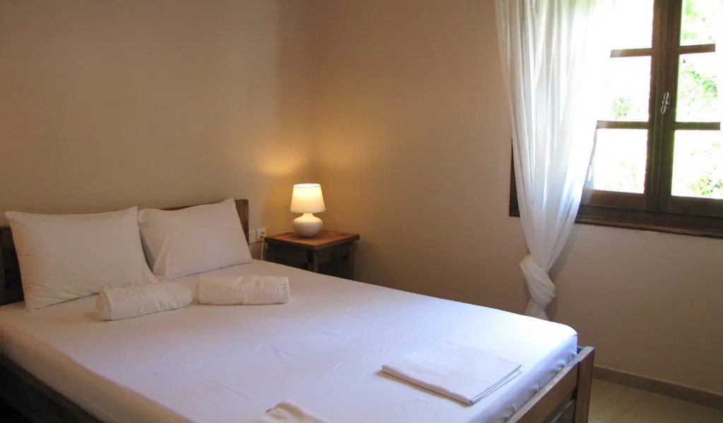 El Villa with pool in Horto Pelion