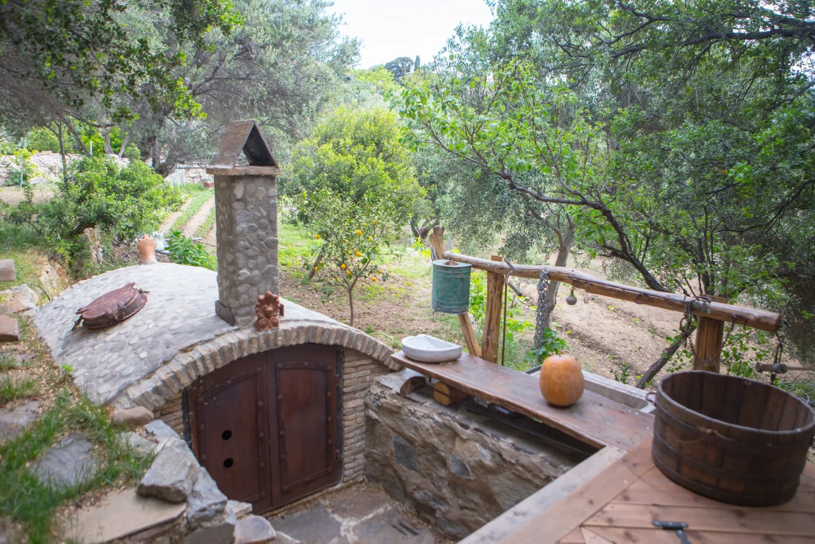 Garden
