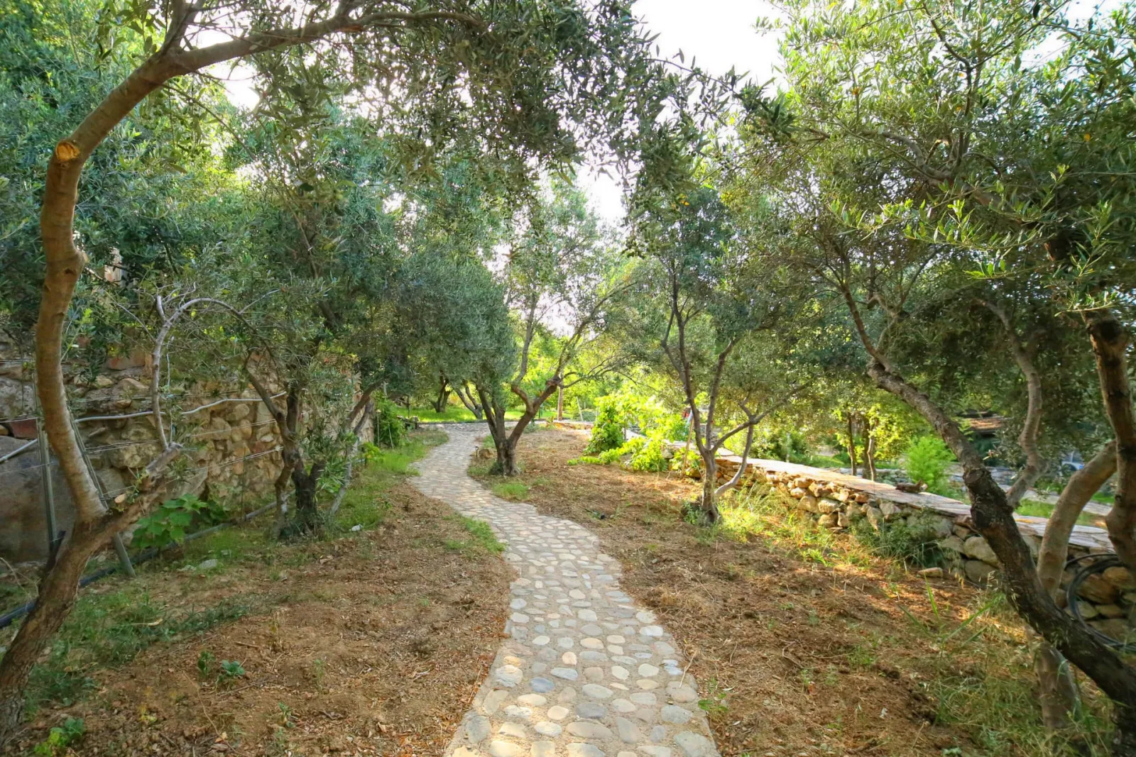 Natural landscape