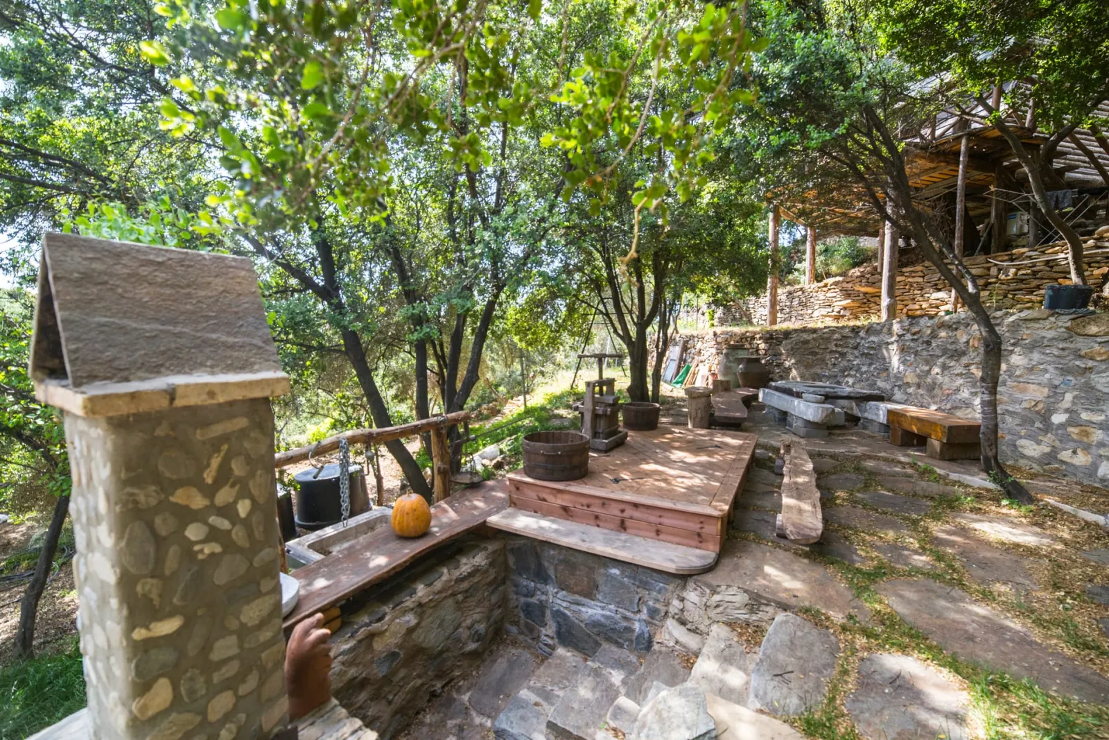 Garden