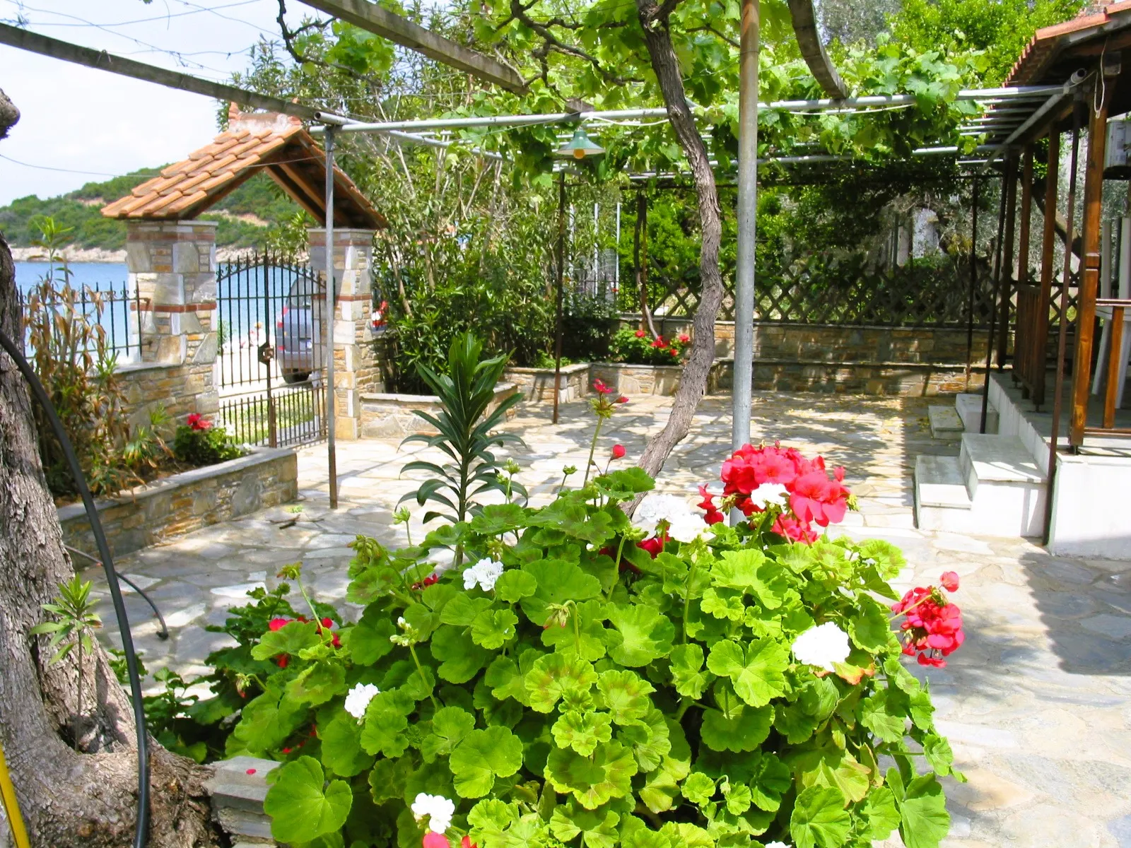 Niki Studios Paou beach - Pelion