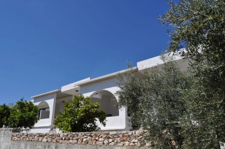 Phaistos Bungalows  -   Tolo
