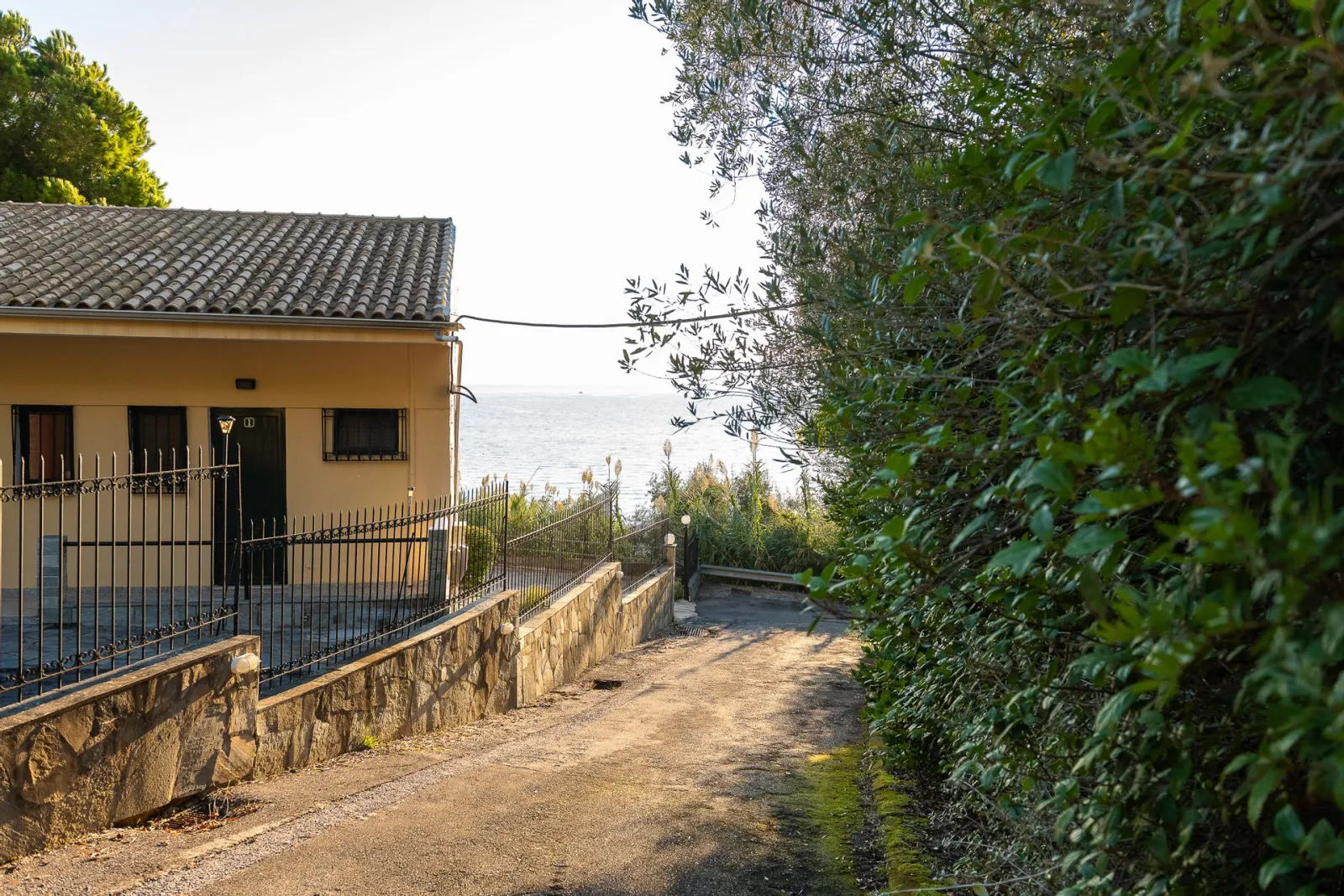 Dimitra Studios