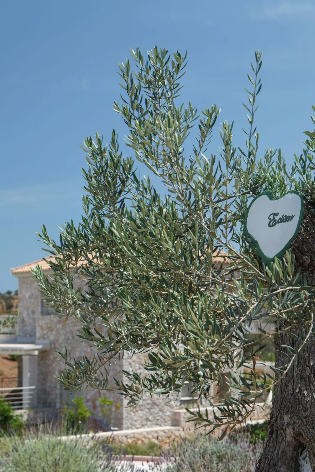 Edem Resort Porto Heli