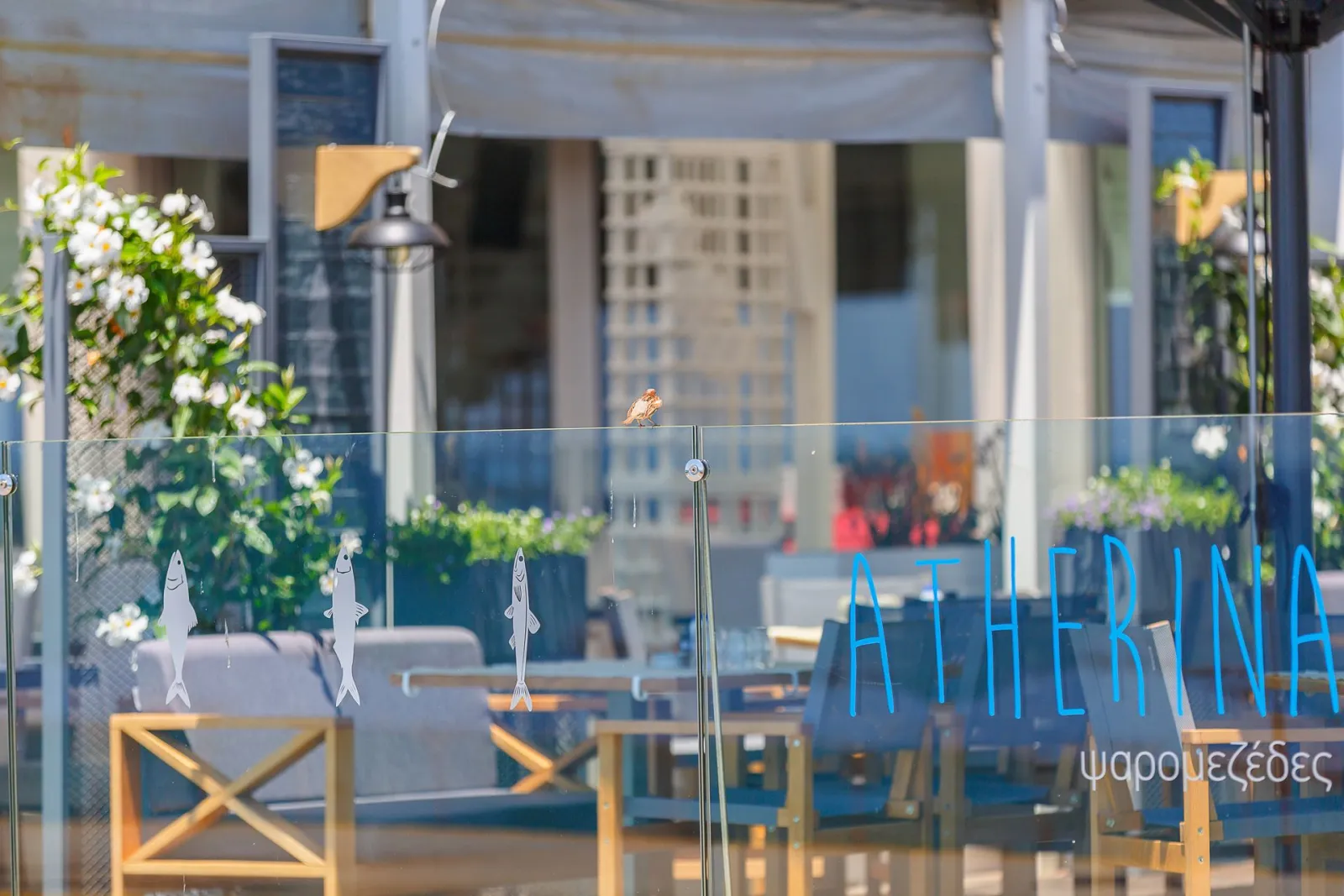 Elite City Resort