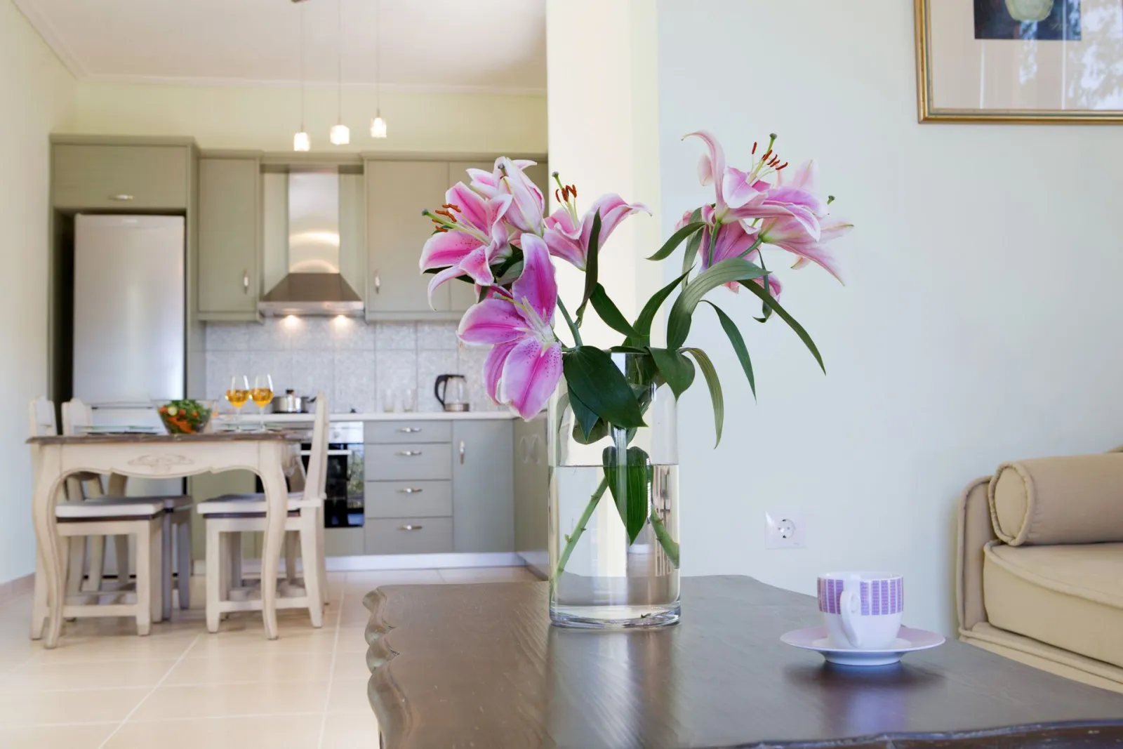 Exanthia Villas Lefkada