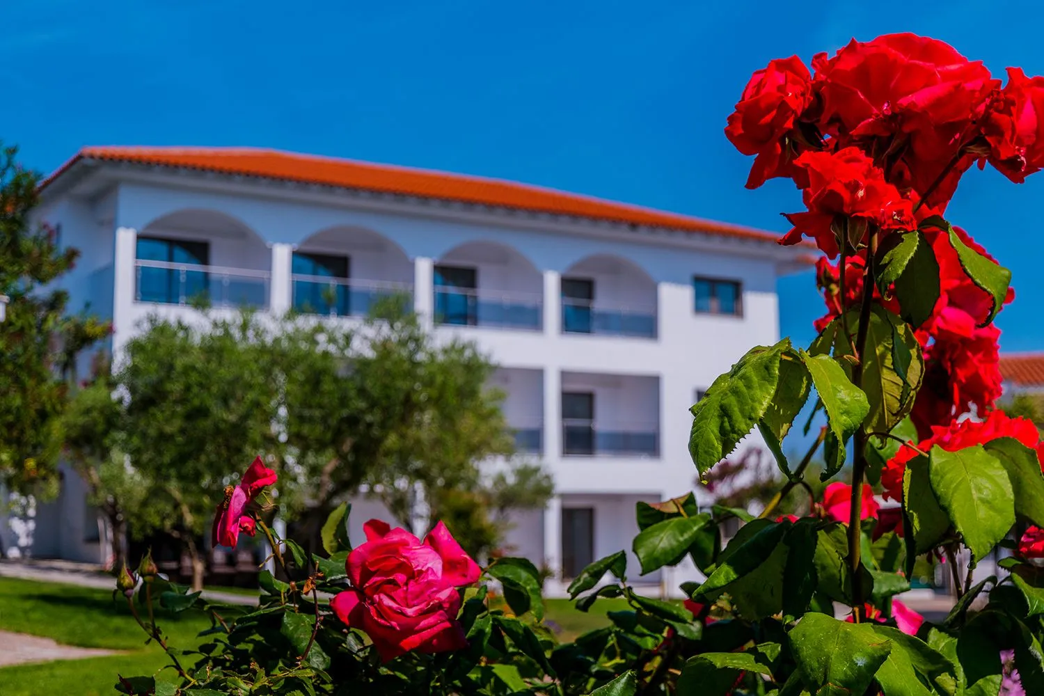 Flegra Palace - Garden
