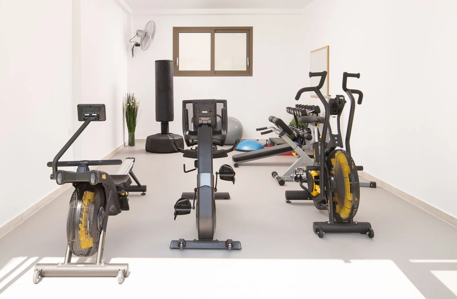 Flegra Palace - Gym