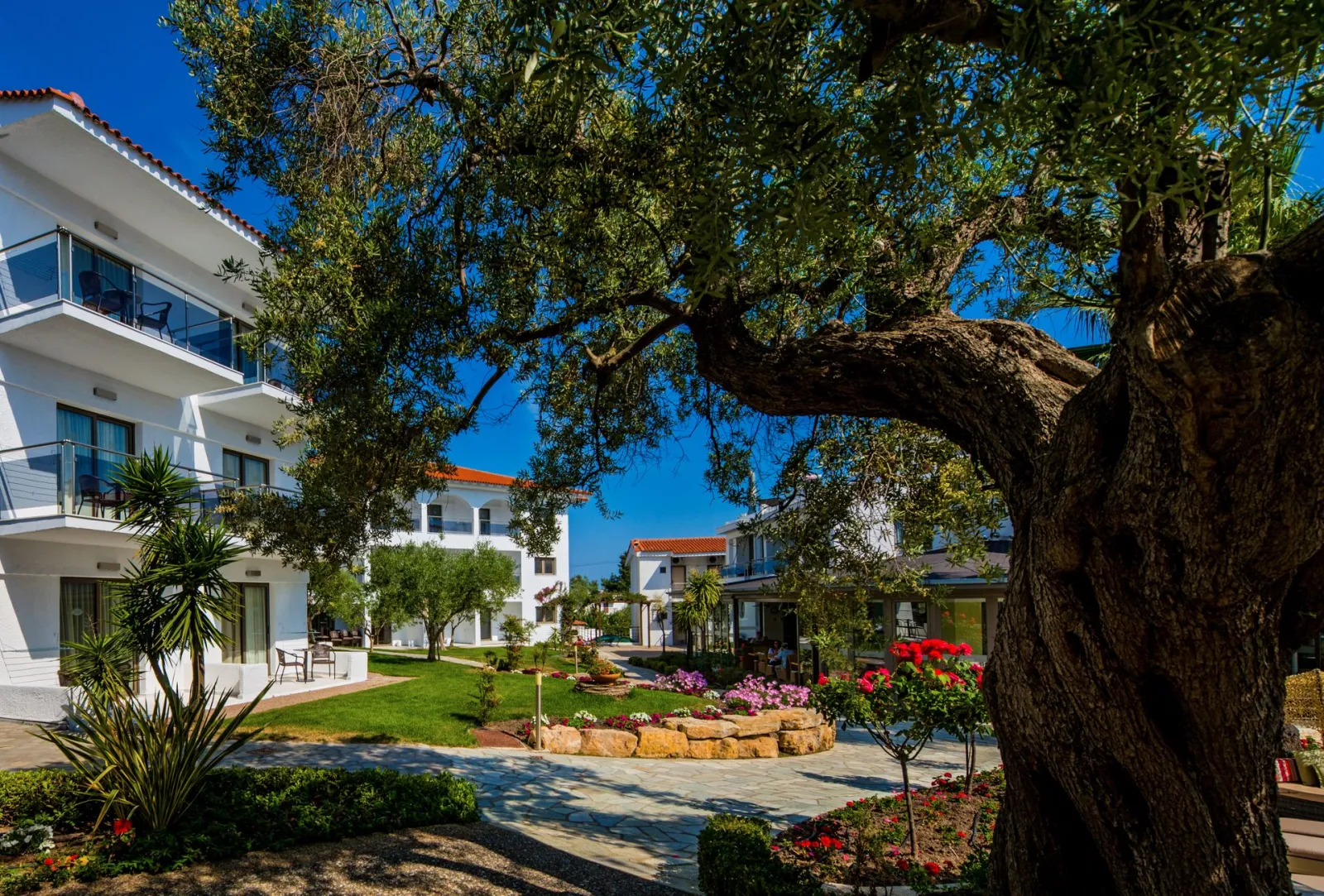 Flegra Palace - Garden