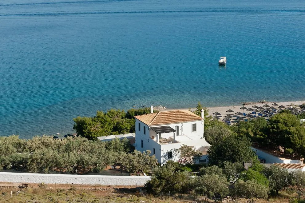 Bellevalia Hydra
