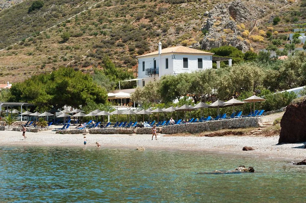 Bellevalia Hydra