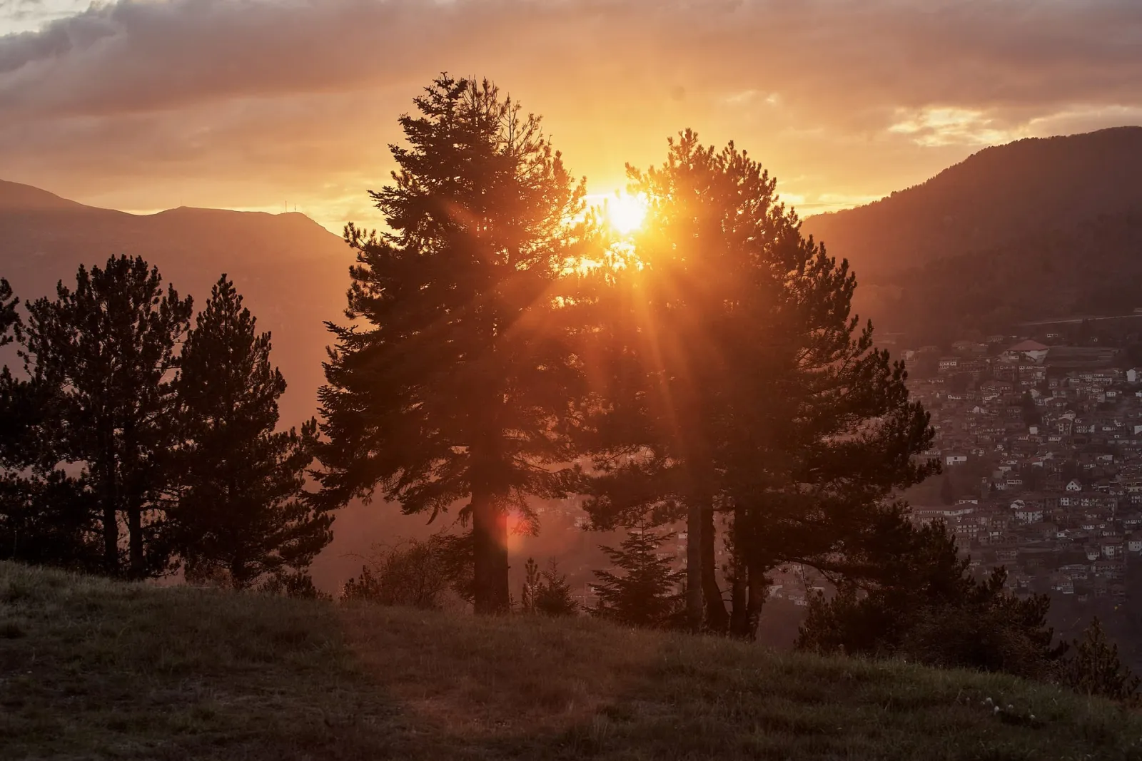Grand Forest Metsovo