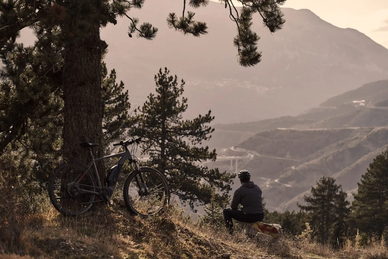 Grand Forest Metsovo