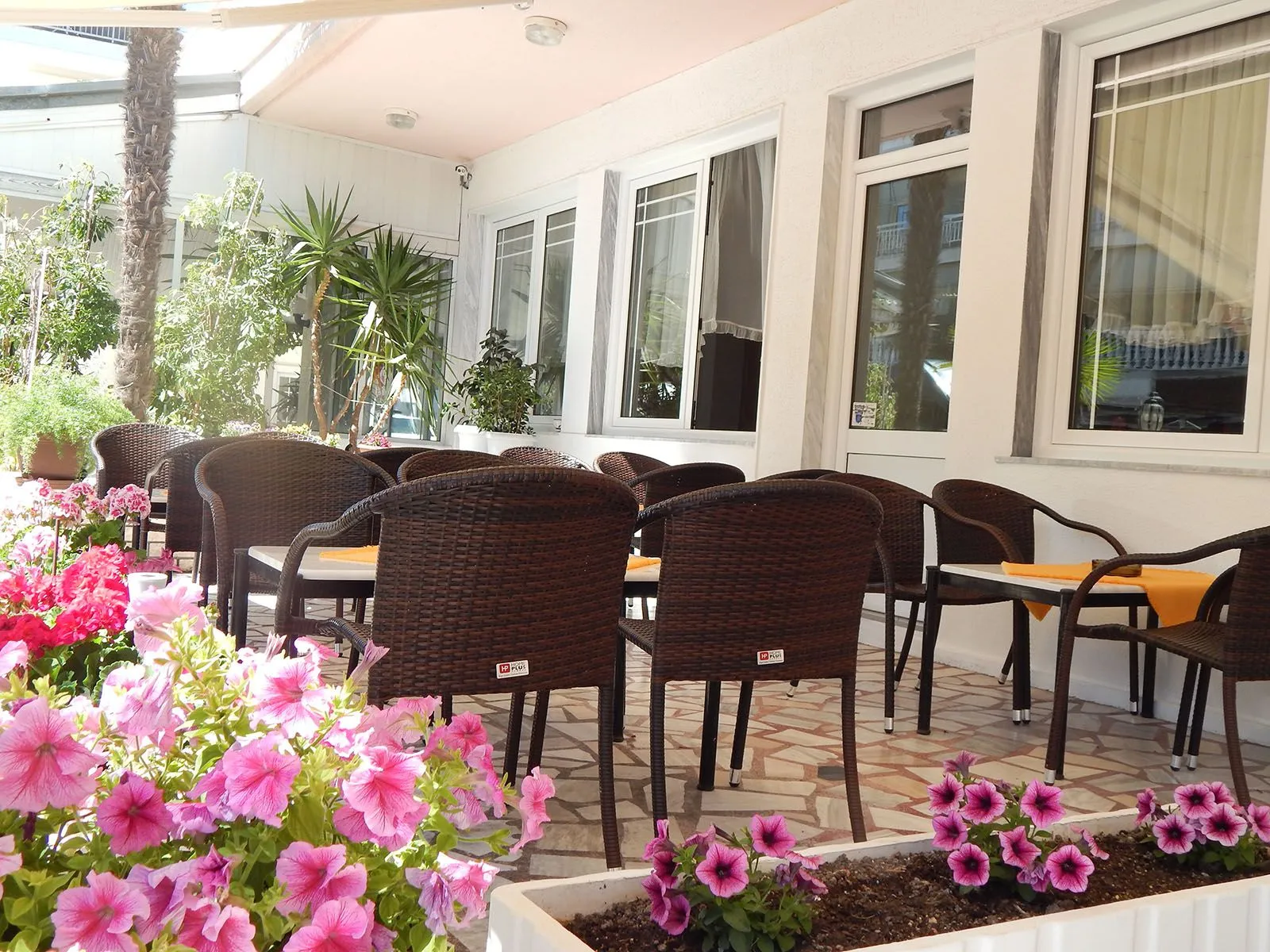 Gold Stern Hotel