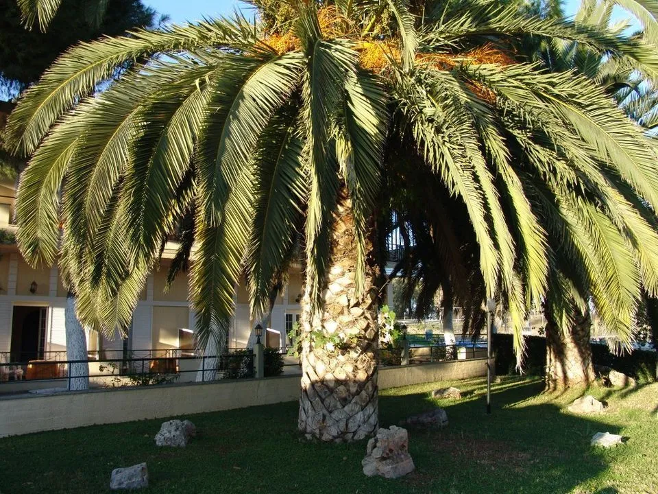 Ignatia Hotel***