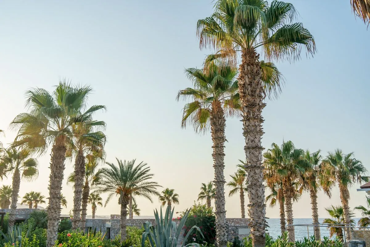 Ikaros Beach Luxury Resort & Spa Crete