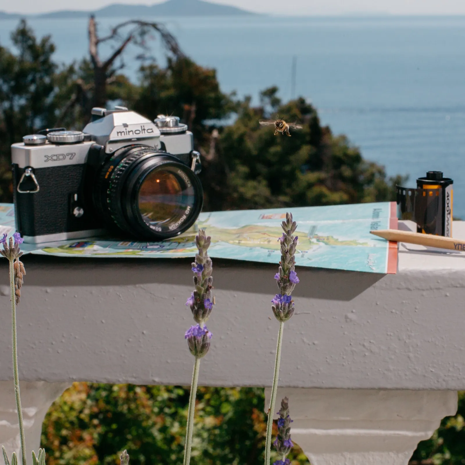 Ikion Eco Alonissos
