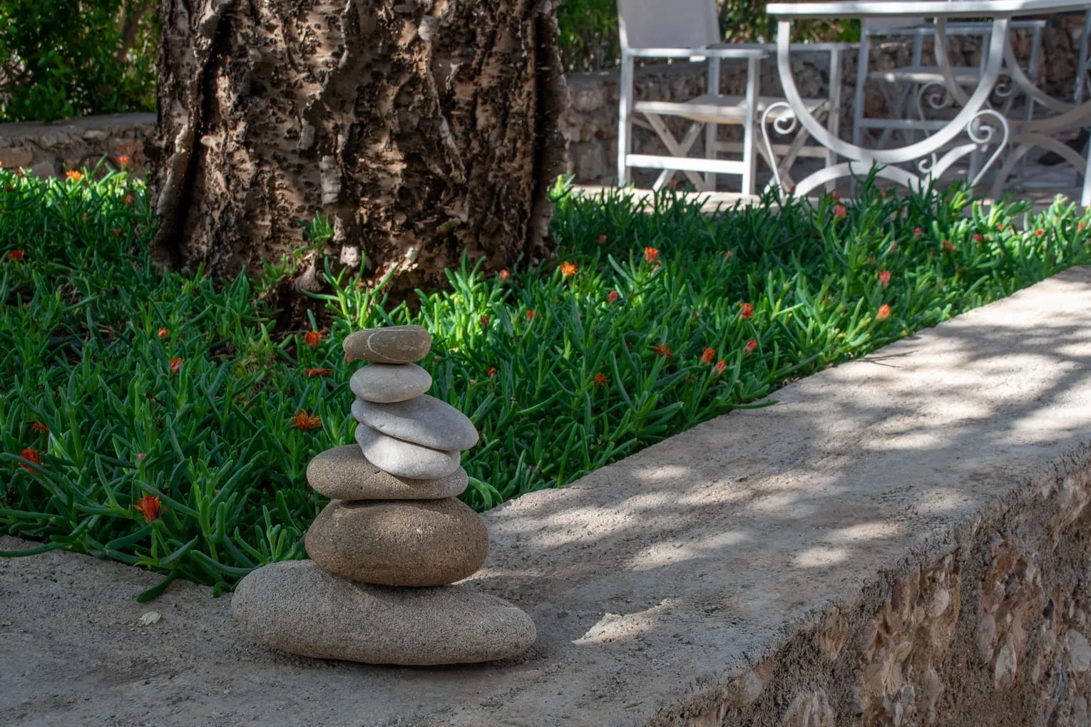 Garden Area