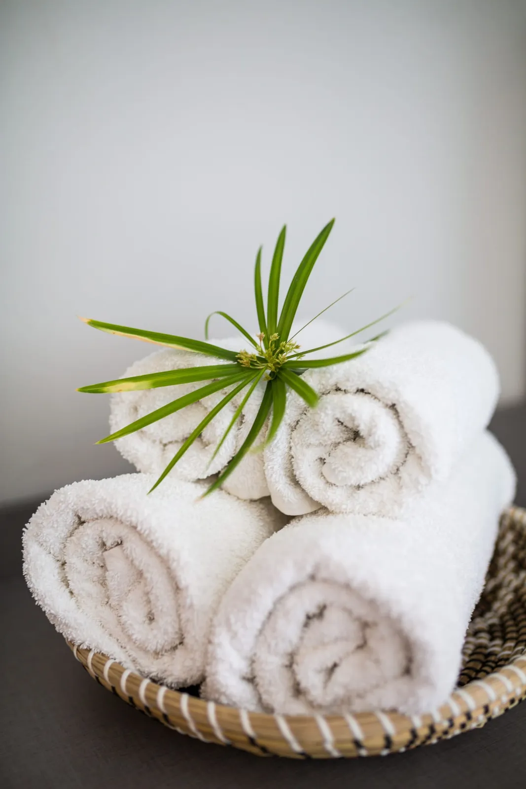 Joya Ofrynio Stylish Suites
