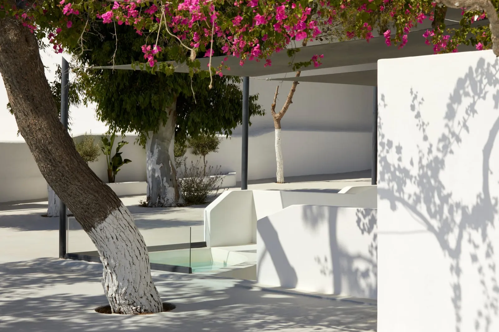 Kalisti Hotel & Suites