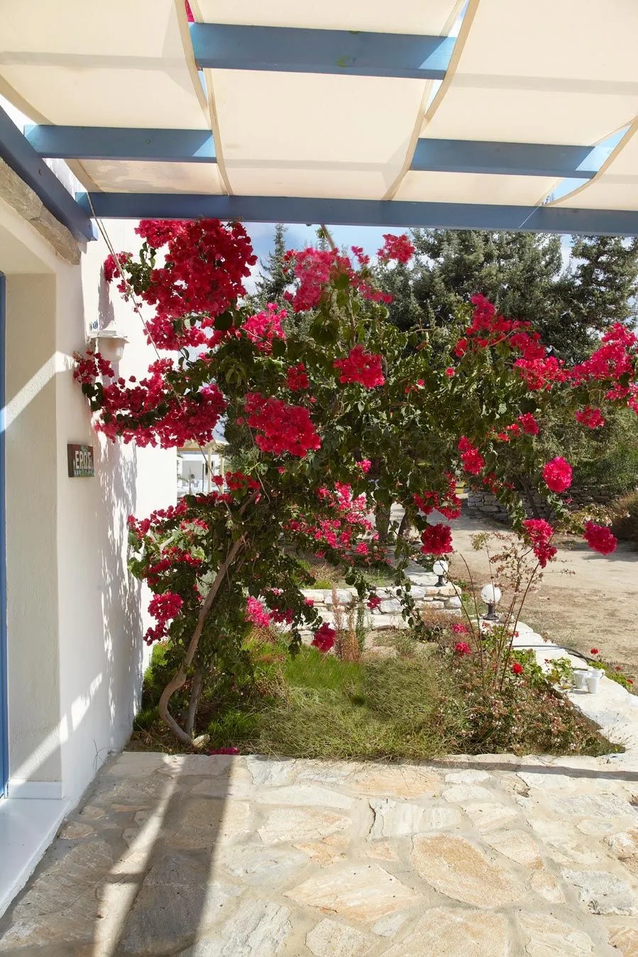 Kedros Villas