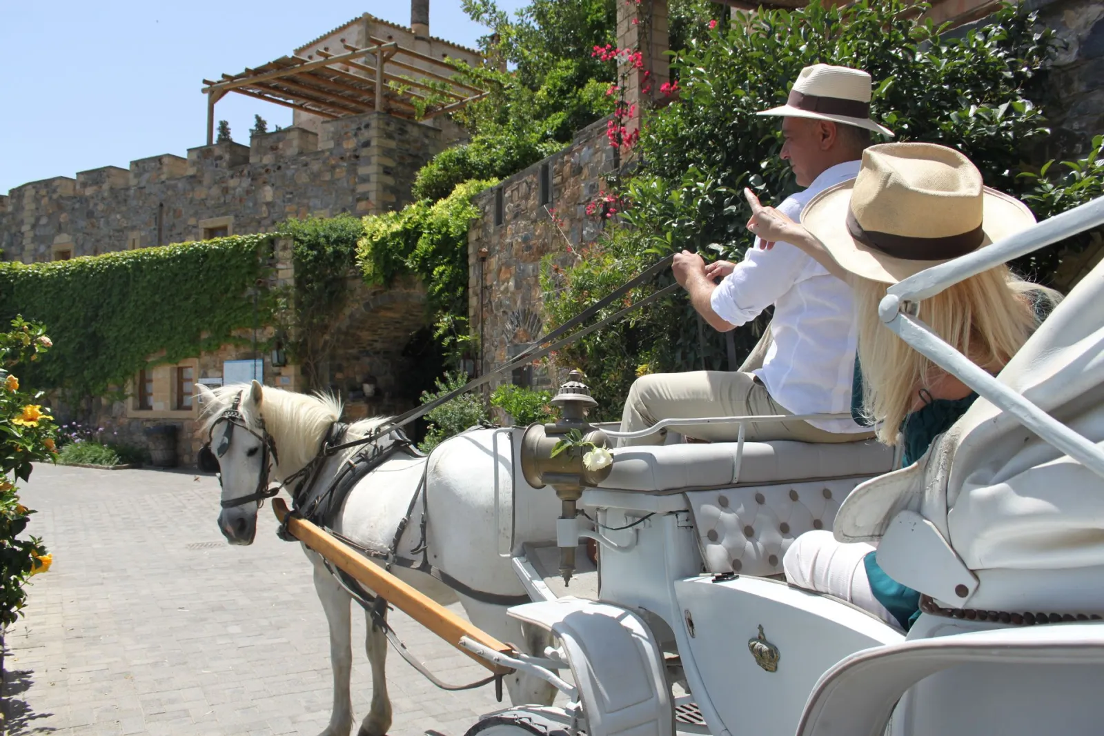 Horse carriage ride