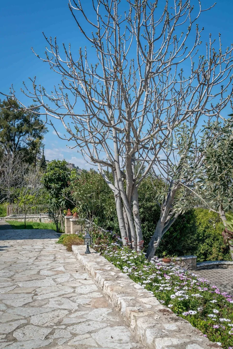 Klymeni Traditional Homes