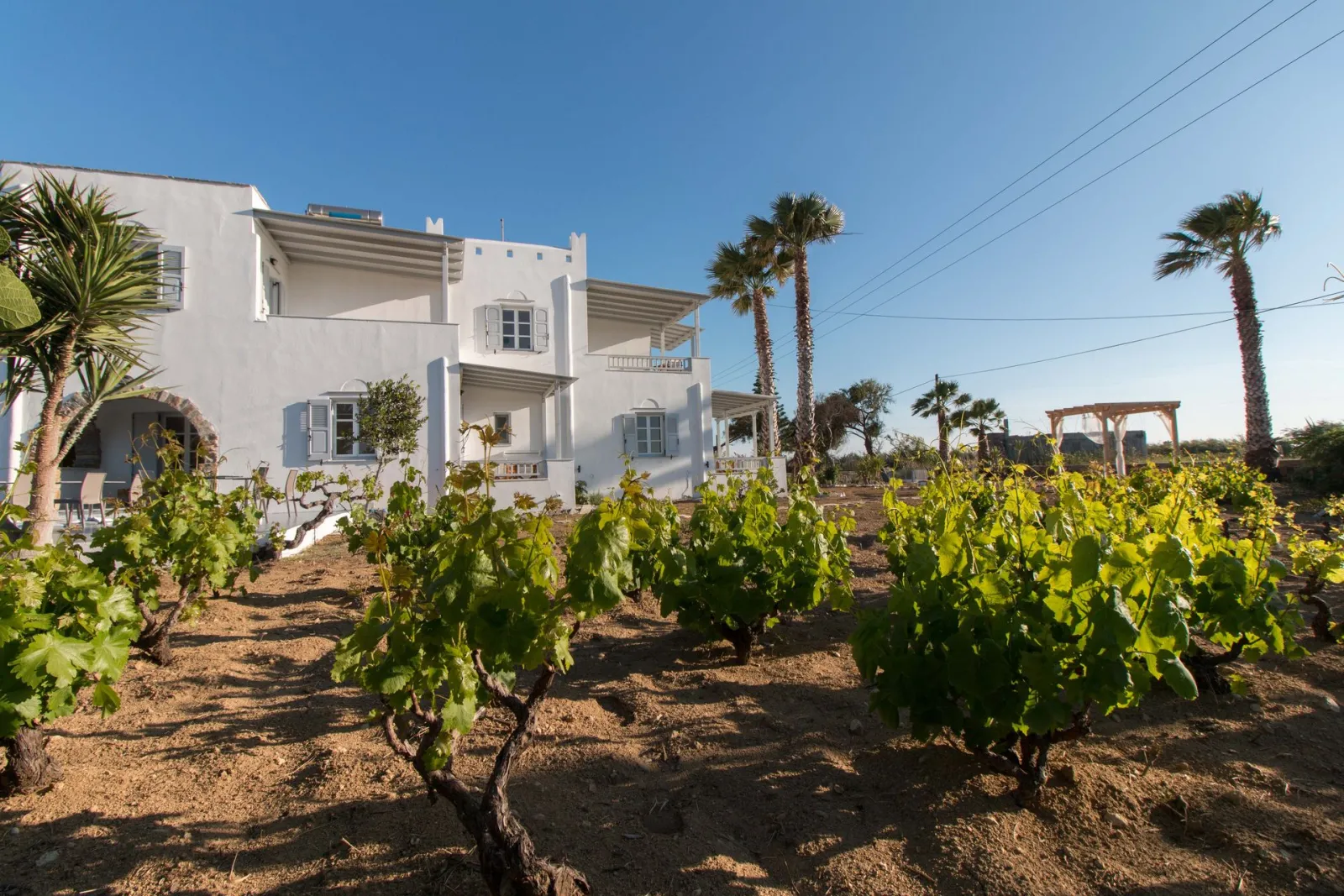 Ktima Bianco Naxos