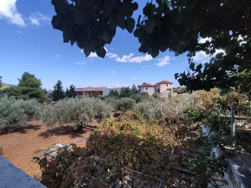 Albatros Apartments - Alonnisos
