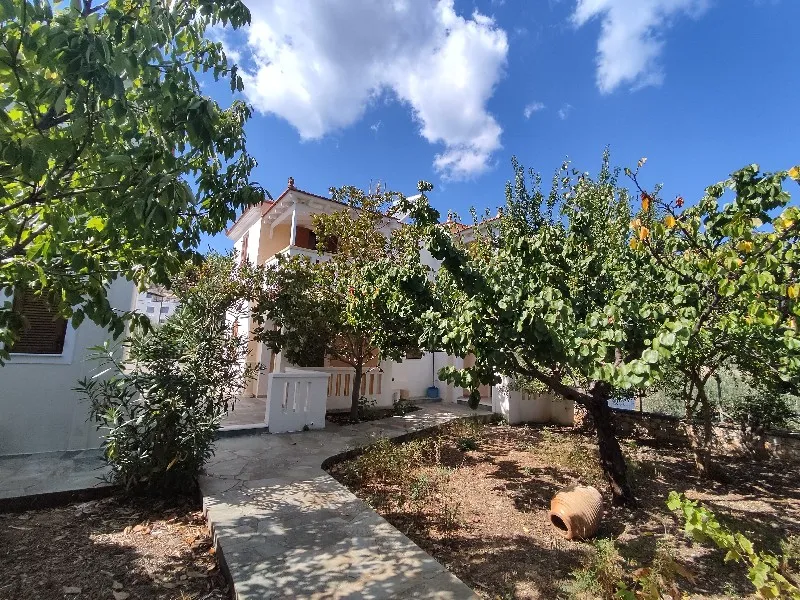 Albatros Apartments - Alonnisos